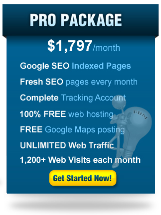 SEO Pro Package